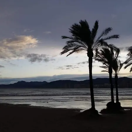 Vue 40 Metres De La Apartman Cullera